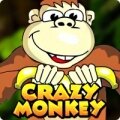 Играть в Crazy Monkey