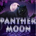 Играть в Panther Moon