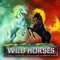 Играть в Wild Horses